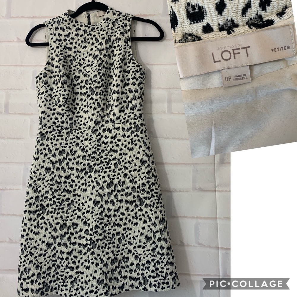 ANN TAYLOR Loft Snow Leopard Sleeveless Dress